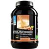 Net Integratori ISOLATE PRO GRASS-FED Proteine Isolate EAA e BCAA gusto WAFER NOCCIOLA 1980g