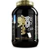 Net Integratori VB WHEY 104 9088 ELITE con sieroproteine del latte 900g BIANCO LATTE