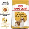 ROYAL CANIN Cavalier King Charles adult 1.5 kg