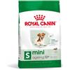 ROYAL CANIN Mini Adult 12+ 800 g cibo secco per cani maturi di età superiore a 12 anni, razze di piccola taglia