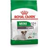 ROYAL CANIN Mini Adult 12+ 1.5 kg cibo secco per cani maturi di età superiore a 12 anni, razze di piccola taglia