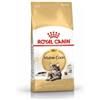 ROYAL CANIN Maine Coon 4 kg