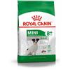 ROYAL CANIN Mini Adult 8+ 0.8 kg cibo secco per cani anziani da 8 a 12 anni di età, razze di piccola taglia