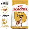 ROYAL CANIN Boxer Adult 24kg (2x12kg)