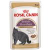 ROYAL CANIN British Shorthair cibo umido in salsa per gatti adulti British Shorthair 48x85 g