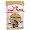 ROYAL CANIN Mainecoon 24x85 g