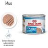 ROYAL CANIN Starter Mousse Mother & Babydog 12x195 g è indispensabile per le cagne durante la gravidanza, l'allattamento e i cuccioli