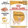 ROYAL CANIN Chihuahua Adult 4x12x85g cibo umido specifico per cani Chihuahua adulti