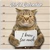 Youthamazing Calendario da parete 2024, motivo gatto divertente 2024, gennaio dicembre, foto meme regalo, 30,5 x 61 cm, aperto, ideale come regalo con elefante bianco, scherzo marrone (YAMMBQBQMD24A01)