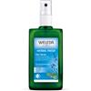 Deodorante Weleda WELEDA Deodorante Spray Salvia 100 ml