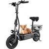 iScooter F2 Scooter elettrico pieghevole con sedile e cestino posteriore, motore da 500 W, batteria da 36 V 7,8 Ah