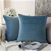 MIULEE Confezione da 2 Federe in Velluto Copricuscini Decorativi Fodere Quadrate per Cuscino per Divano Camera da Letto Casa45X45cm Azzurro