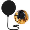 EceoThsy Filtro Pop per Microfono con Doppio Strato e Braccio Flessibile Regolabile - Compatibile con - Ottimizza la Qualità Audio e Riduce i Suoni Sgradevoli，microphone anti-projection，filtro antipop microfon