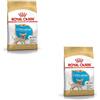 Royal Canin Chihuahua Puppy | Confezione doppia | 2 x 500 g | Alimento completo specifico per cuccioli di Chihuahua | Fino a 8 mesi | Può aiutare a ridurre l'odore delle feci