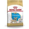 Royal Canin Chihuahua Puppy | 500 g | Alimento Completo specifico per Cuccioli di Chihuahua | Fino a 8 Mesi | può contribuire a ridurre l'odore delle feci