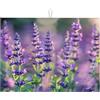Generic Tappetino scolapiatti con fiori di lavanda viola, tappetino assorbente per scolapiatti per bancone della cucina, tappetino antiscivolo, 45,7 x 61 cm