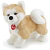 Trudi Akita Ascanio Cane peluche gioco, regalo Natale e compleanno | 15x27x25cm taglia M | Classici cani peluche | modello 22664