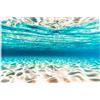 Didooou Sfondi (30 x 50 cm, spiaggia subacquea da sogno)