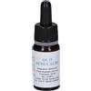 Qe19 semi caldi 10ml