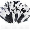 ZHIQIN 200 Piezas Piume Artigianato Piume Bianche e Nero Piuma D'Oca Naturali 10-17 cm Piuma Decorative Naturali con Punti Colla Rotondi per Acchiappasogni Festival Nozze Fai da Te