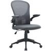 Bizzotto Poltrona Ufficio con Braccioli Kempton Colore Grigio
