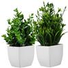 HOLIDYOYO 2pezzi Piante Artificiali in Vaso Decorazione Realistica Per Interni Ed Esterni Bonsai Finto Con Aspetto Naturale Per Ufficio e Casa Di Piante Verdi Per Scrivania e Libreria