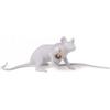 SELETTI Mouse Lamp Lop lampada topo sdraiato Seletti