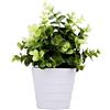 Meneco Piccola pianta finta in vaso - Pianta artificiale da interno, pianta in vaso finta decorazione per casa e ufficio (verde eucalipto)