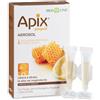 BIOS LINE Apix Aerosol 10 fiale da 2ml