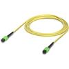 Ubiquiti Cavo a fibre ottiche Ubiquiti Indoor OS2 single-mode fiber - patch cable with MPO-12 Type B APC connectors designed for 100G applications. 3M, 10 pack Warranty: 24M [UACC-OFC-SA-MPMP-3M-]