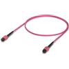 Ubiquiti Cavo a fibre ottiche Ubiquiti UACC-OFC-MA-MPMP-1M-10 cavo InfiniBand e in fibra ottica MPO/UPC Rosa (Indoor OM4 multi-mode fiber - patch cable with MPO-12 Type B UPC connectors designed for 100G applications. 1M, 10 pack Warranty: 24M) …