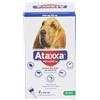 Krka ATAXXA SPOT-ON 4 pipette 25-40 kg