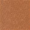 Moda Fabrics Back to Basic Kansas Trouble