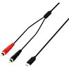 Adam Hall Cables Adam Hall 3 STAR Y CC USB-C 0300 - Cavo a Y USB-C, 2 x RCA maschio x USB-C, nero, 3m