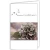 AFIE 24-1006-B - Biglietto di auguri con busta bianca, 10 x 16,5 cm, motivo: fiore ortensia semi di dente di leone moderno contemporaneo design puro, grigio rosato, argento lucido, lutto morte