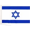 AZ FLAG Bandiera Israele 45x30 cm Israeliana Poliestere 100D Cordini