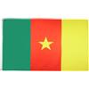 AZ FLAG Bandiera Camerun 90x60 cm Camerunese Poliestere Leggero 2 Occhielli | Uso interno bandiera decorativa Cameroun doppie cuciture e bordi rinforzati con occhielli metallici