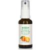 Bergland Aromatologie Sunny Orange Fragranza per ambienti 30 ml