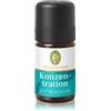 Primavera concentrazione miscela aromatica Olio essenziale 5 ml