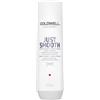 Goldwell Dualsenses Just Smooth Taming Shampoo Shampoo per capelli 250 ml