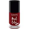 Sante Nail Color Smalto per unghie 8 ml Nr. 07 - Redy or Not