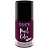 Sante Nail Color Smalto per unghie 8 ml Nr. 04 - Plumtheory