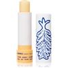 KORRES Thyme Honey Lip Balm Balsamo per labbra brillante Balsamo per labbra 4.5 g