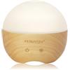 Primavera Aroma Vernebler Woody Diffusore di aromi 1 pz.