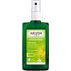 Weleda Citrus Fresh Deo Spray Deodorante spray 100 ml