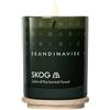 SKANDINAVISK SKOG Scented Candle Special Edition Candela profumata 65 g