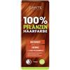 Sante 100% Pflanzenhaarfarbe Naturrot 06 Tinta per capelli 100 g