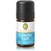 Primavera aria fresca miscela aromatica Olio essenziale 5 ml