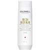 Goldwell Dualsenses Rich Repair Shampoo ristrutturante Shampoo per capelli 100 ml