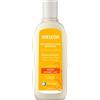 Weleda Replenish & Care shampoo ristrutturante Shampoo per capelli 190 ml